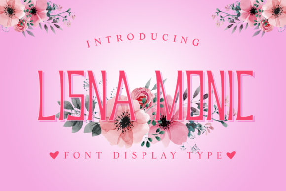 Lisna Monic for Eye-Catching Display Typography